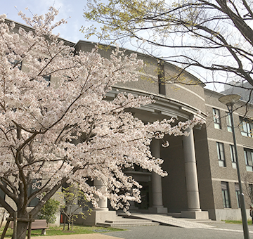 igakubu-sakura