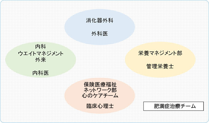 肥満治療チーム