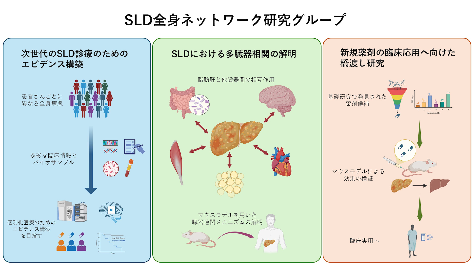 研究概要図