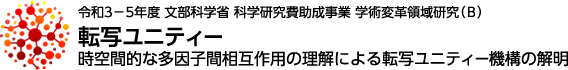 令和3-5年度 文部科学省 科学研究費助成事業 学術変革領域研究（B） 転写ユニティー 時空間的な多因子間相互作用の理解による転写ユニティー機構の解明