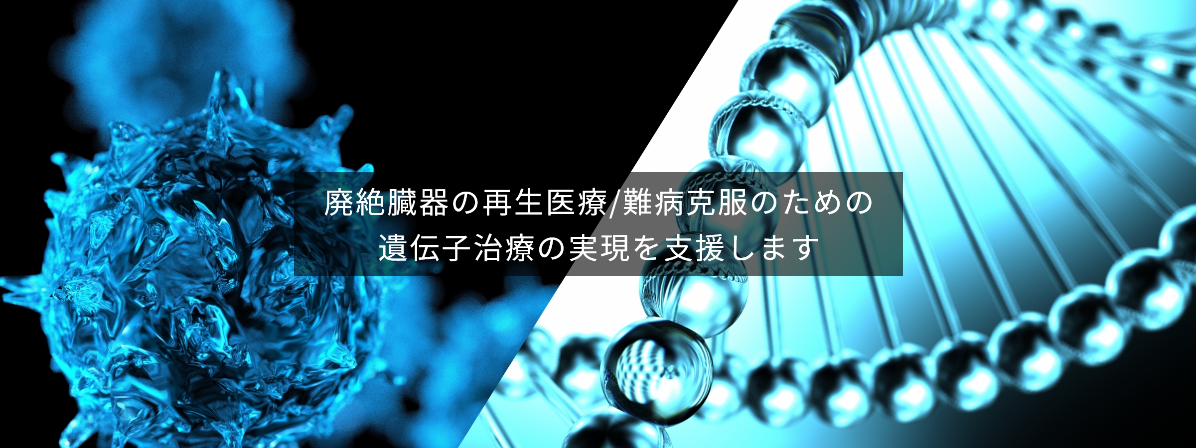 大阪大学未来医療センター再生・細胞医療・遺伝子治療研究実用化支援課題事業化戦略支援課題