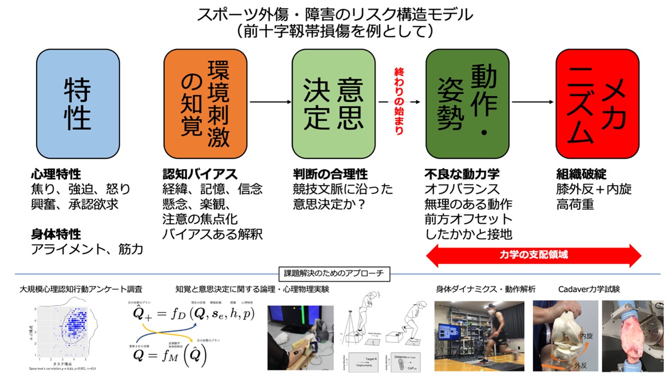 スポーツ外傷・障害の成り立ちに関する心理認知-バイオメカニクスの包括的研究 画像