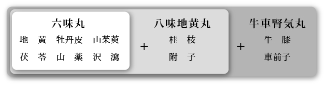 牛車腎気丸の構成生薬と研究デザイン