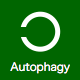 Autophagy