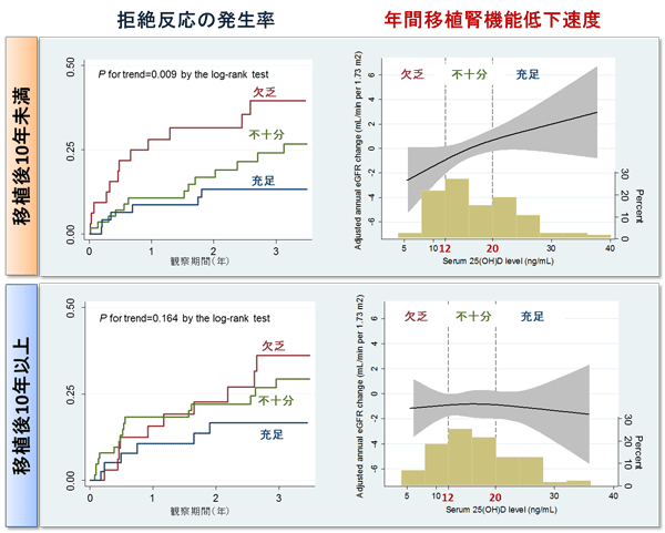 ビタミンD欠乏による脱毛を防ぐことは可能でしょうか？