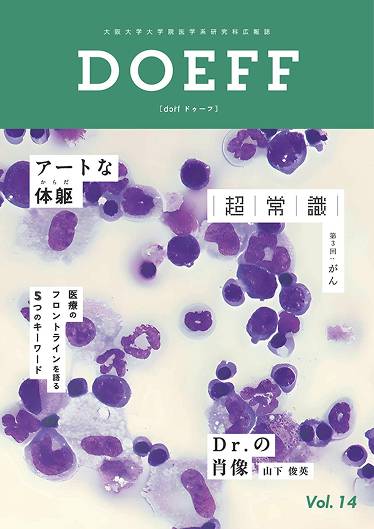 DOEFF表紙