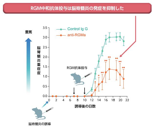大阪大学大学院医学系研究科｜分子神経科学｜最近の業績