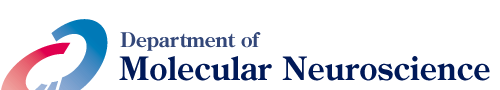 Department of Molecular Neuroscience