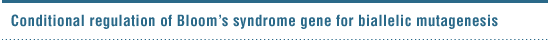 Conditional regulation of Bloom’s syndrome gene for s