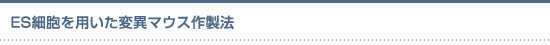 ES細胞を用いた変異マウス作製法