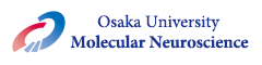 Department of Molecular Neuroscience, Osaka University