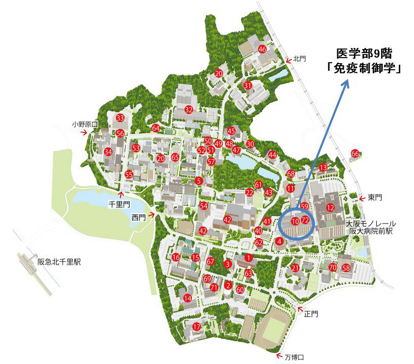 大阪大学医学部　地図