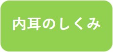 内耳のしくみ