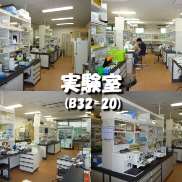実験室 (B32-20)