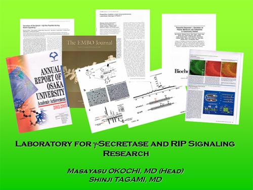 ���Z�N���^�[�[�����O���[�v �i��͓��E�c��O���[�v�j