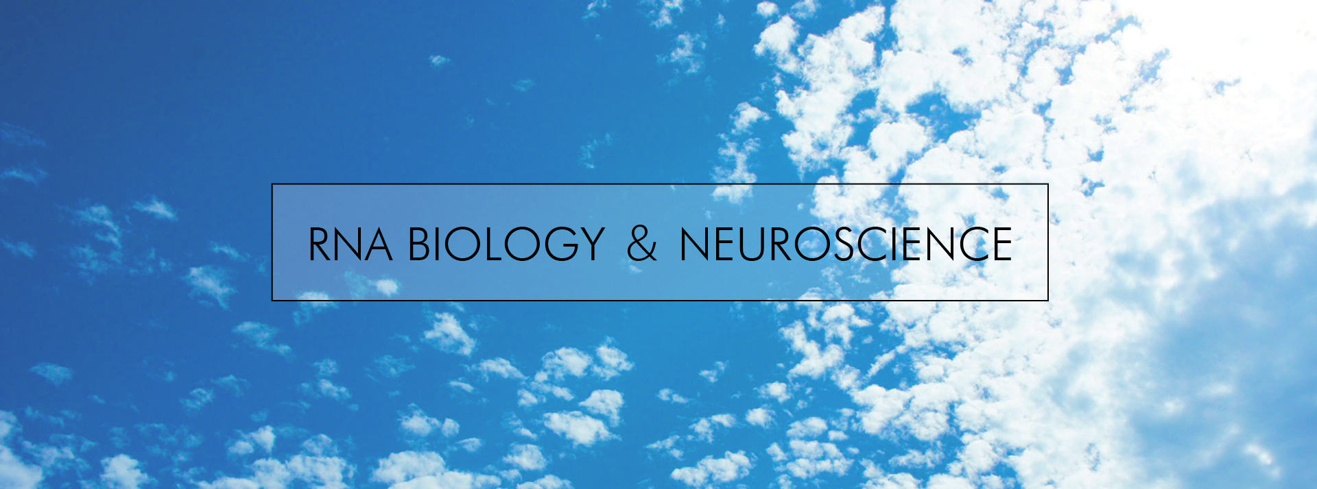 RNA BIOLOGY & NEUROSCIENCE