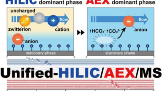 Unified-HILIC/AEX/MS for Polar Metabolomics