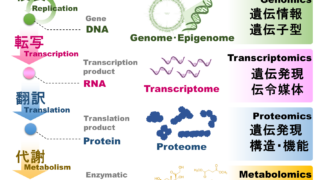 Metabolomics