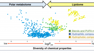 The diversity of the physicochemical properties of the metabolome