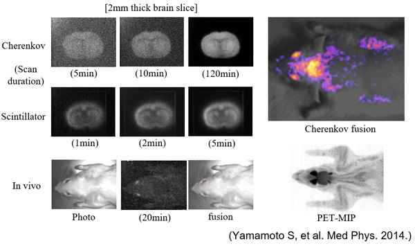 Cherenkov optical imaging with an ultra-sensitive CCD camera