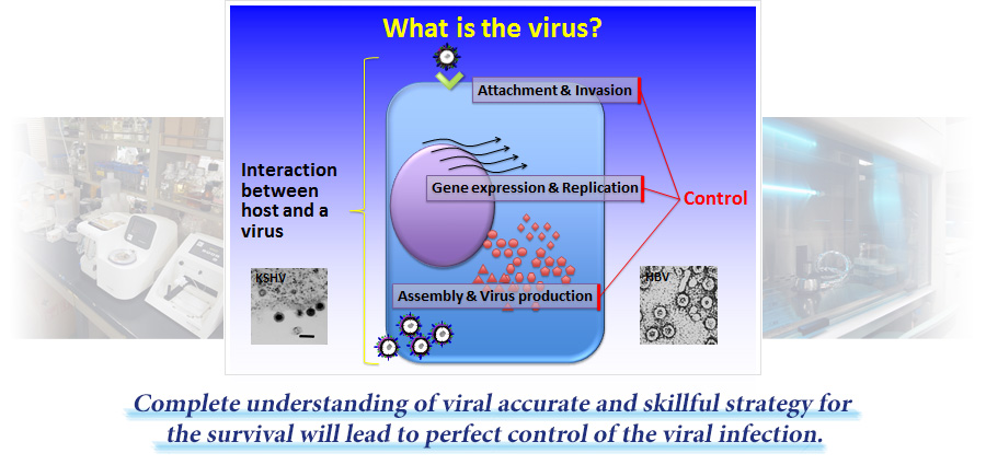 What the Virology is heading to?