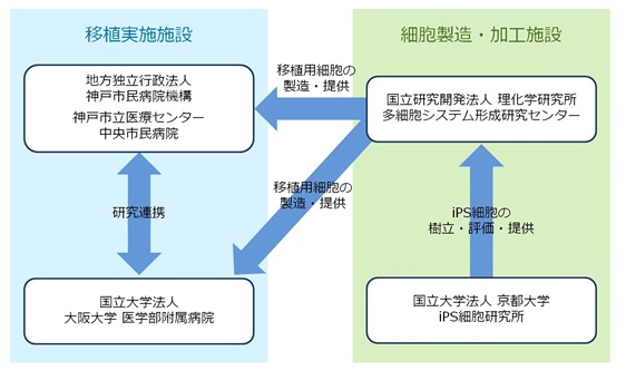 ｢滲出型加齢黄斑変性に対する他家iPS細胞由来網膜色素上皮細胞懸濁液移植に関する臨床研究｣